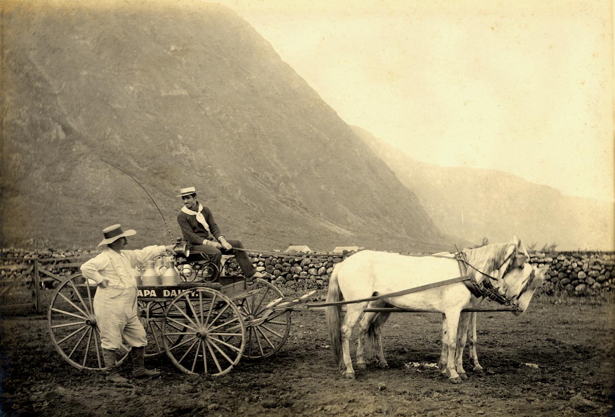 Emil Van Lil in gesprek met Albert Galaspo, koetsier van de melkkar. In de achtergrond, de ‘pali’, natuurlijke grens met de melaatsenkolonie op Molokaï. (Foto: Leuven, Damiaan Documentatie & Informatiecentrum)